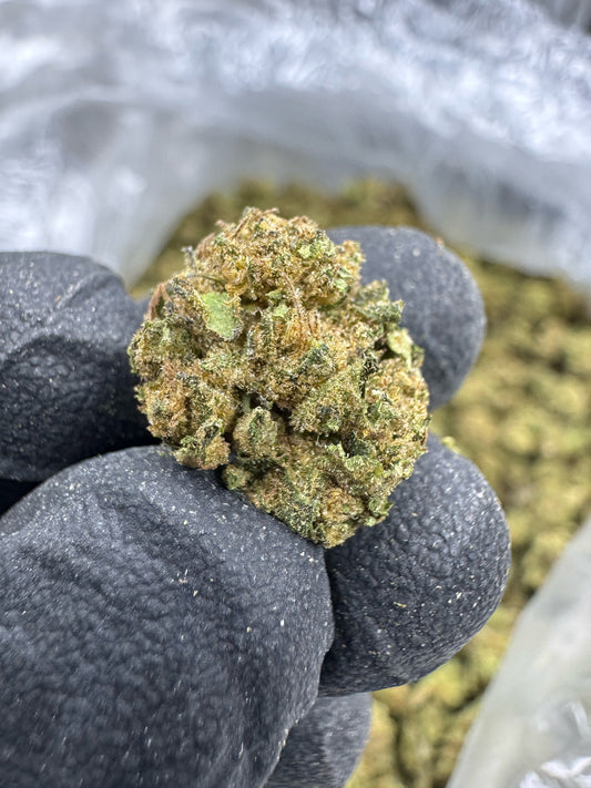 THCA Flower: Gelato King | Greenhouse Gold Nuggets
