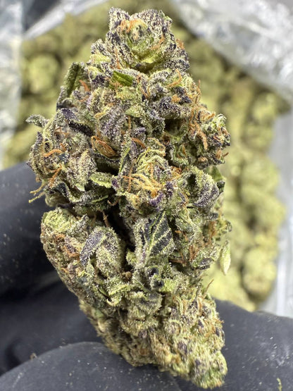 THCA Flower: Gelato Mintz | Sungrown Top Cut