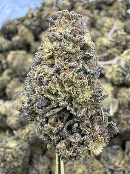 THCA Flower: Georgia Pie | Sungrown Top Cut