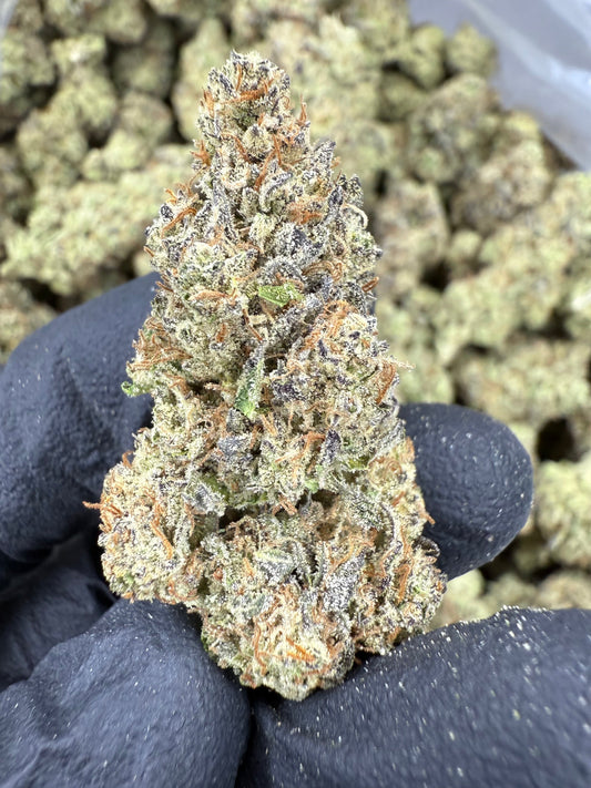 THCA Flower: GovernMint Oasis | Indoor Top Cut