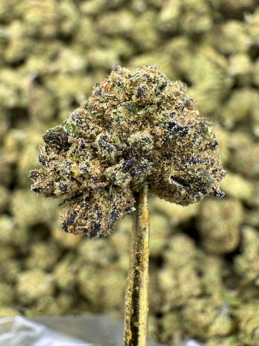 THCA Flower: Grand Daddy Purple | Greenhouse Gold Nuggets
