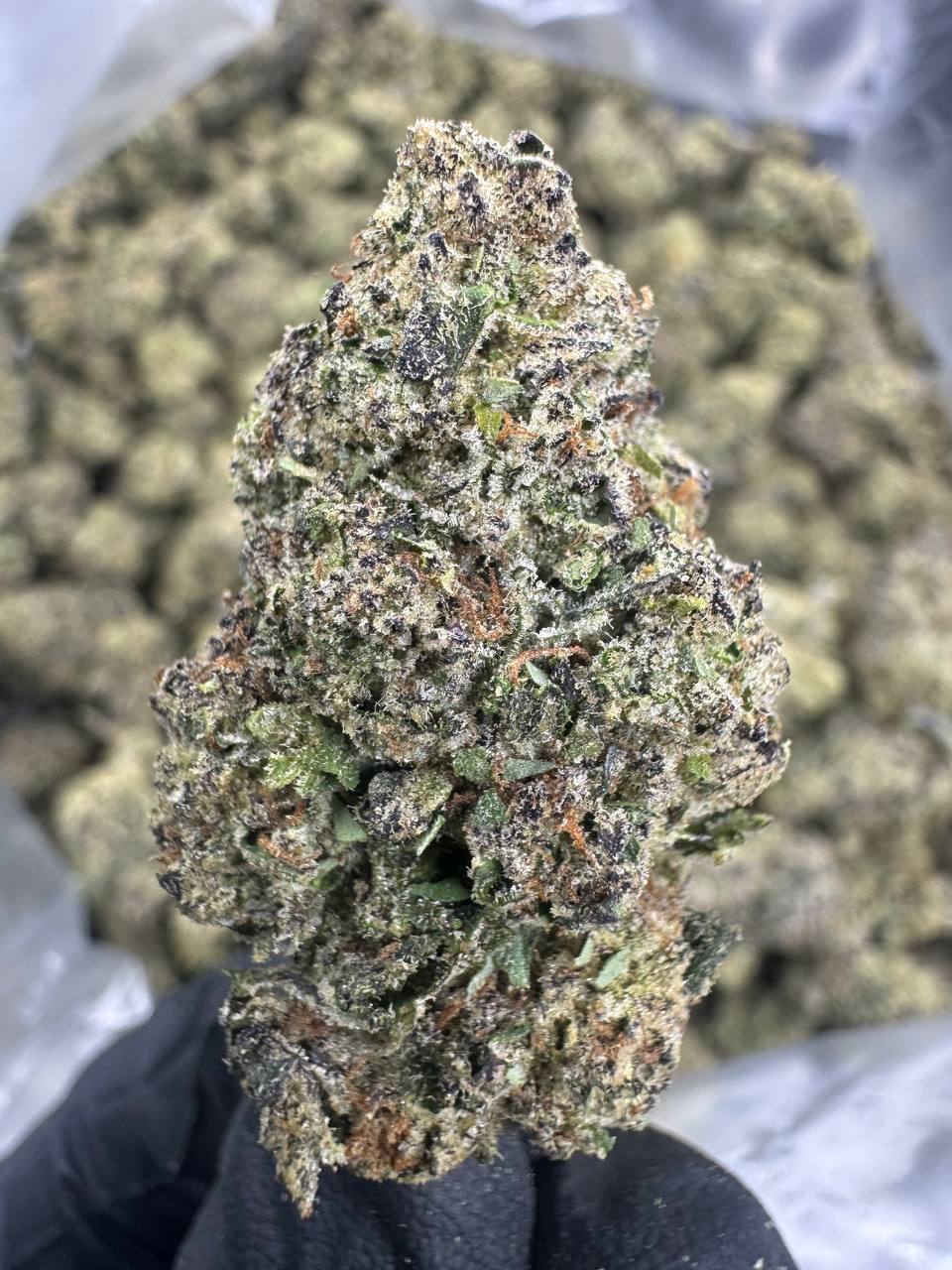 THCA Flower: Grape Gas | Greenhouse Top Cut