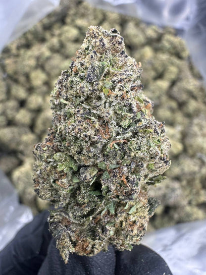 THCA Flower: Grape Gas | Greenhouse Top Cut