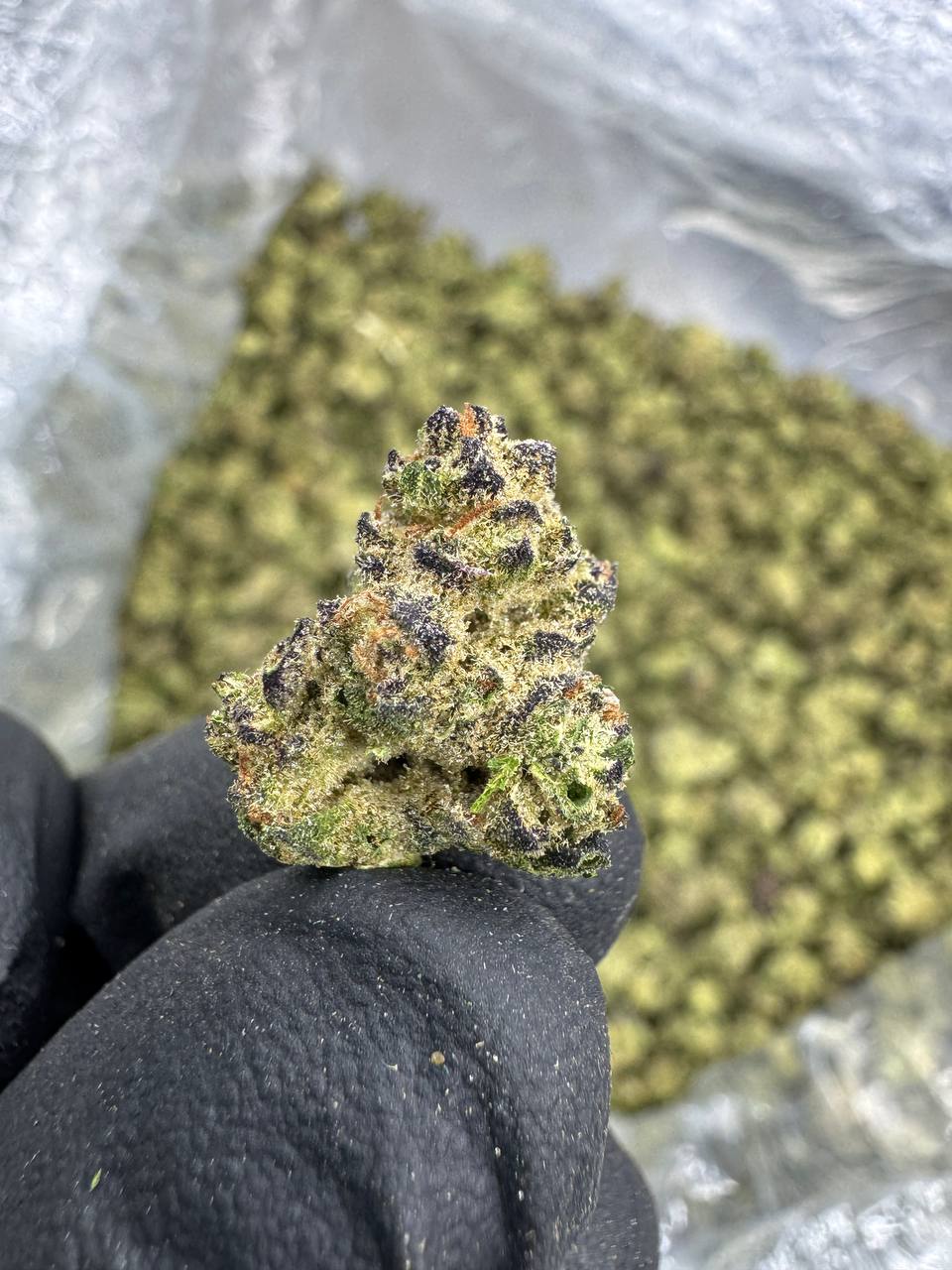 THCA Flower: Grape Gas | Indoor Gold Nuggets Exotic