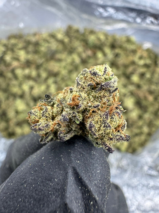 THCA Flower: Grease Monkey | Sungrown Gold Nuggets