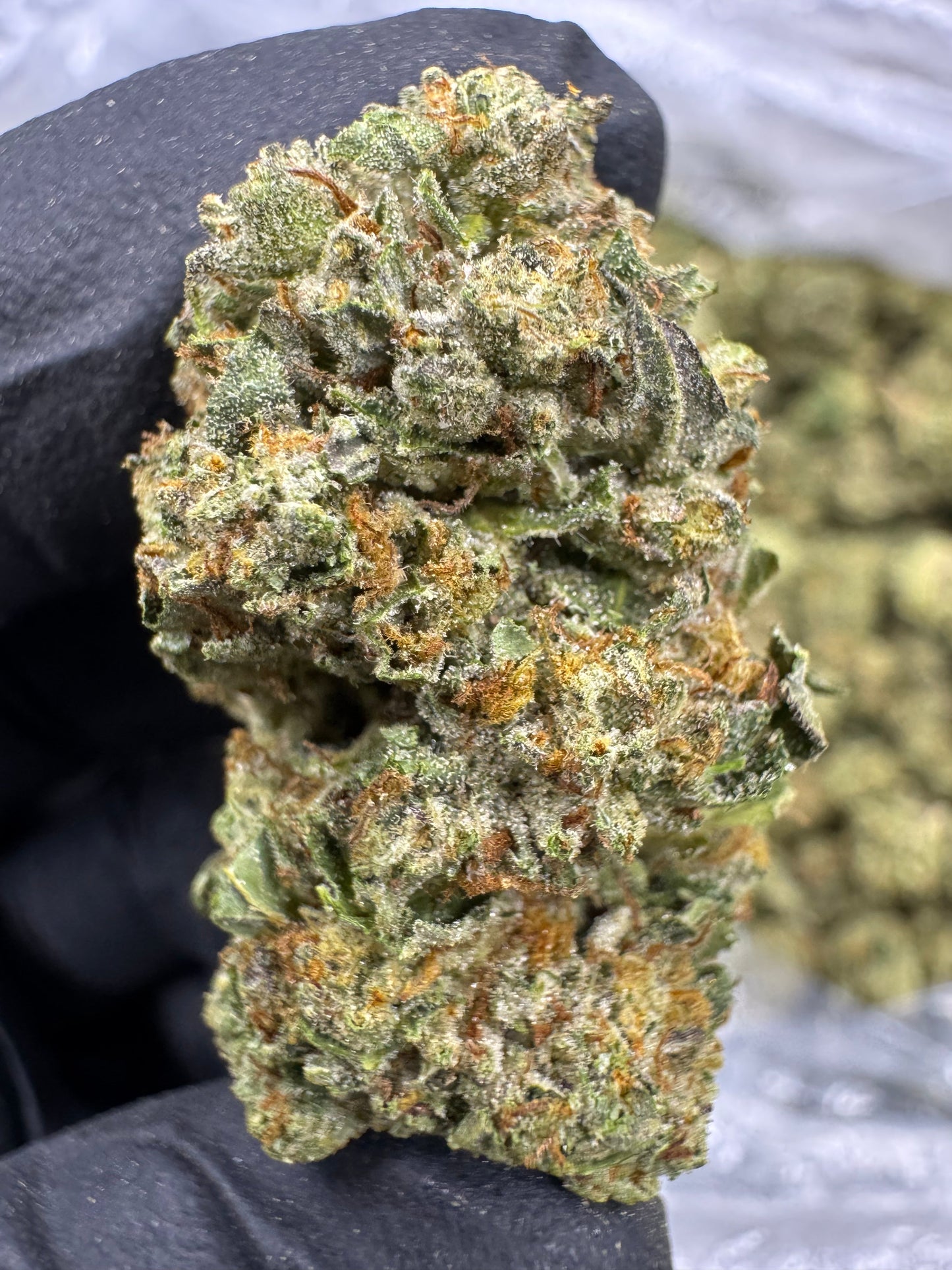 THCA Flower: Guava Gelato | Greenhouse Top Cut