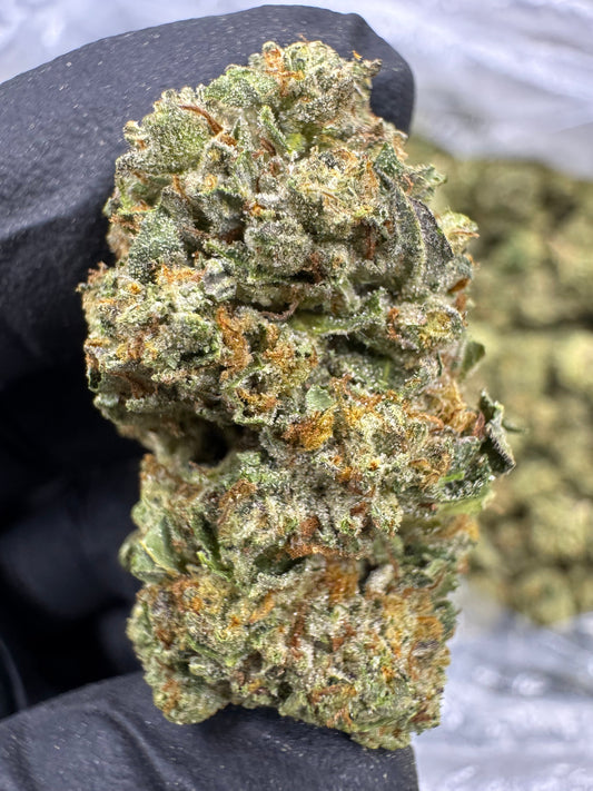 THCA Flower: Guava Gelato | Greenhouse Top Cut