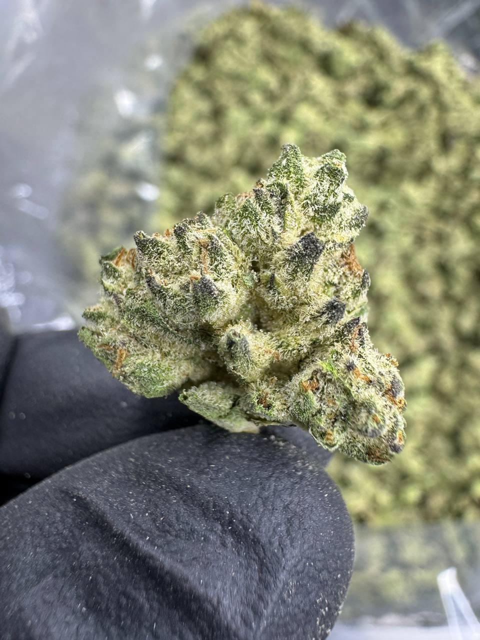 THCA Flower: Guava Gas | Greenhouse Gold Nuggets