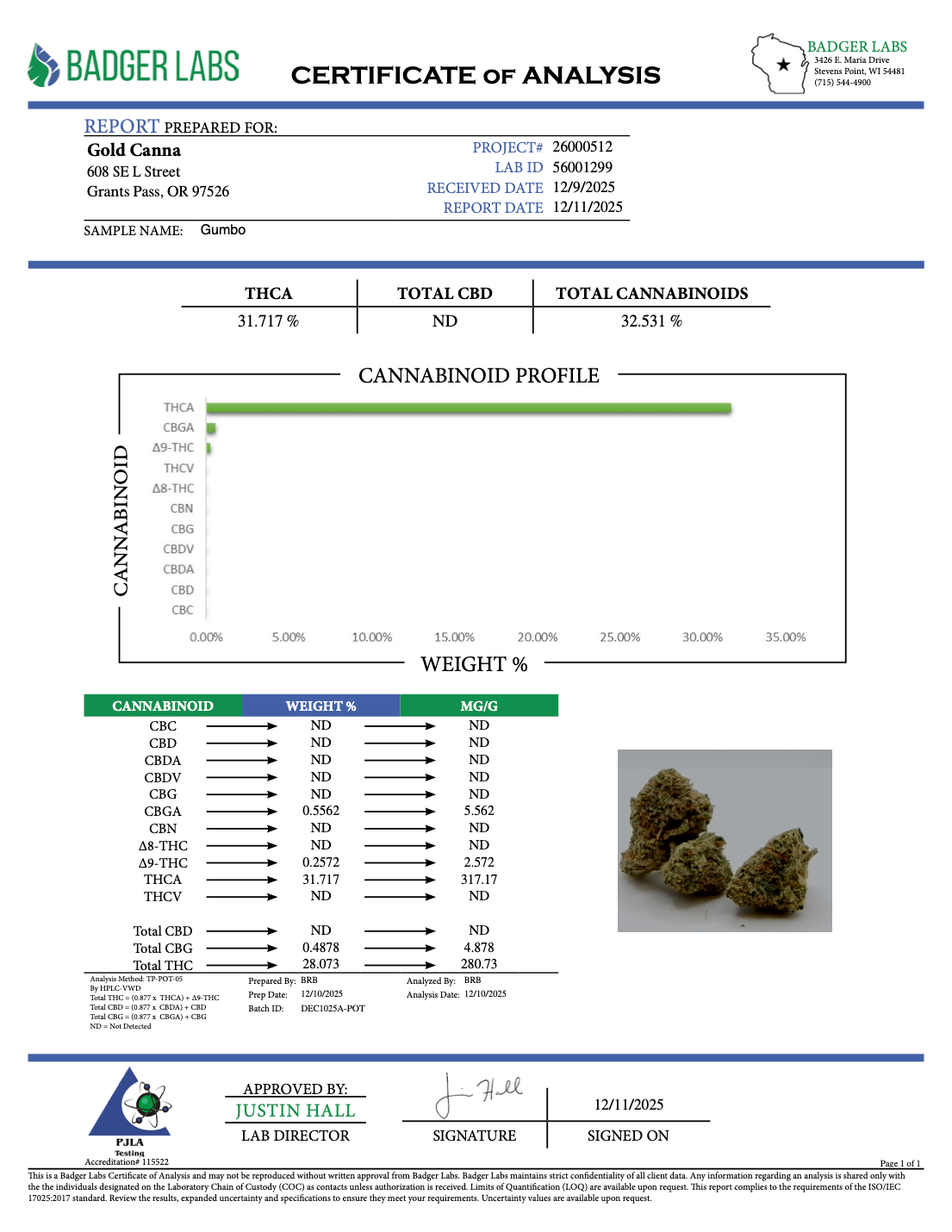 THCA Flower: Gumbo | Indoor Top Cut Exotic