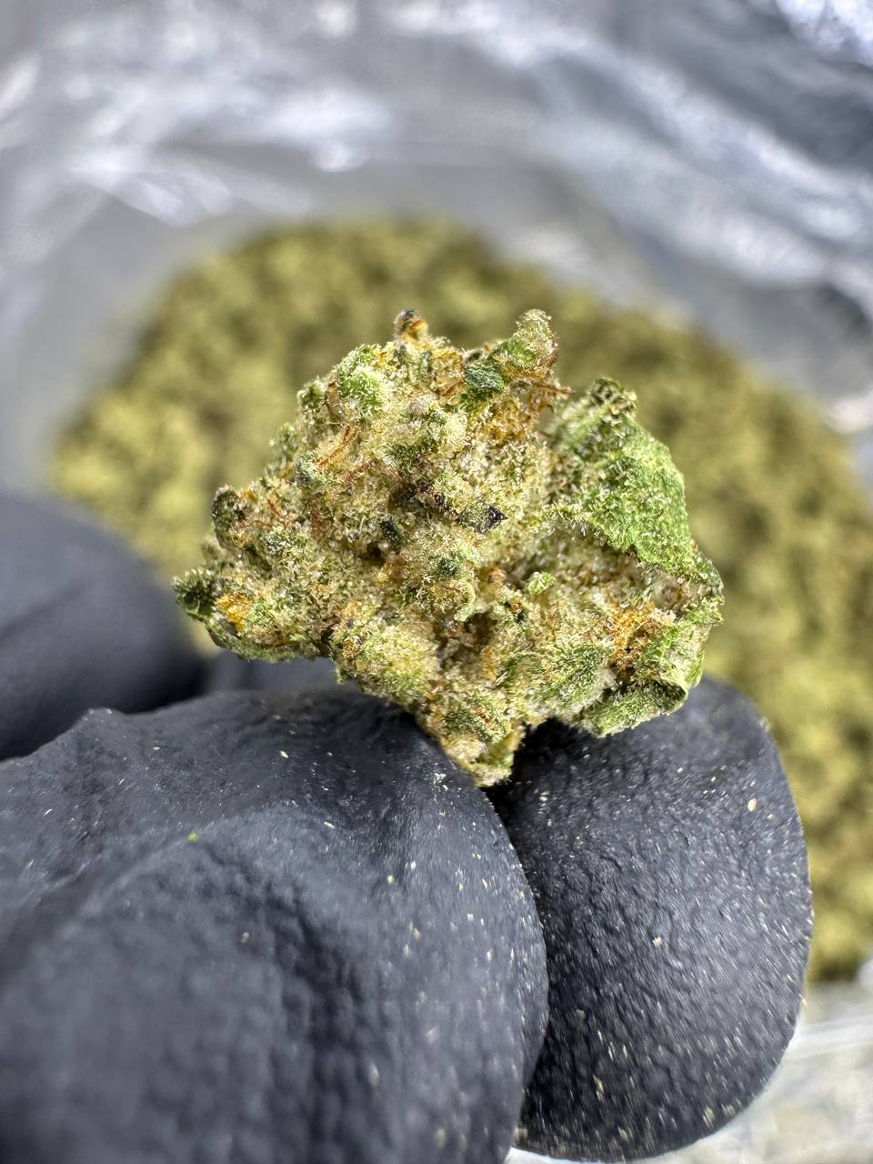 THCA Flower: Gumbo | Greenhouse Gold Nuggets
