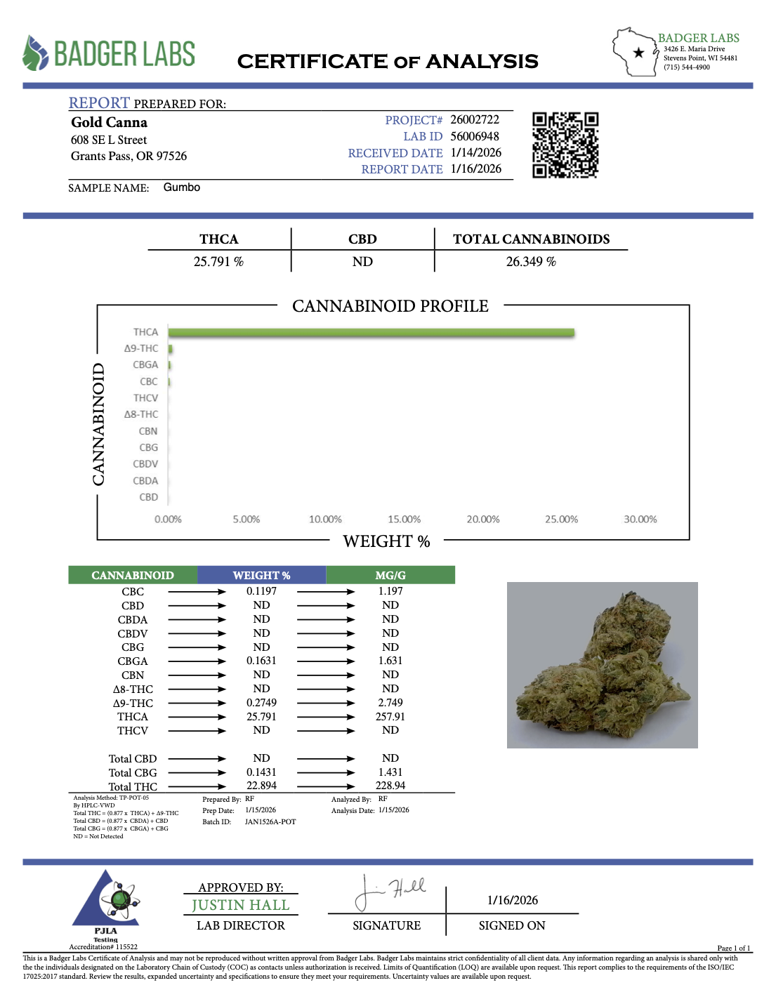 THCA Flower: Gumbo | Greenhouse Gold Nuggets