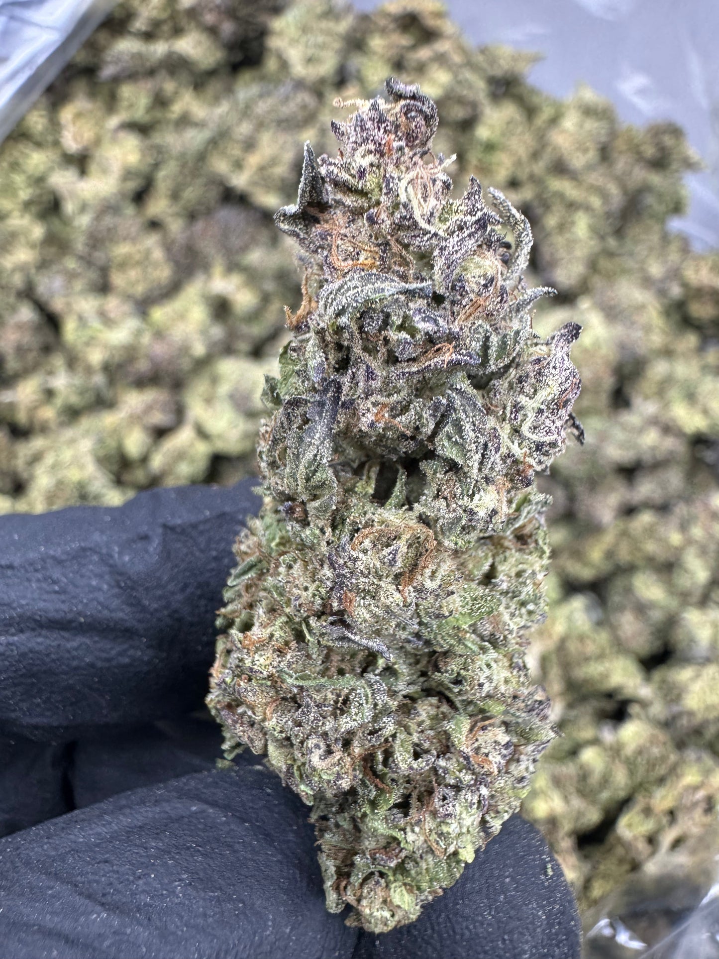 THCA Flower: Gushers | Sungrown Top Cut