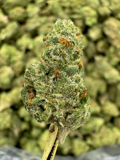 THCA Flower: Gushers | Greenhouse Gold Nuggets