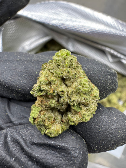 THCA Flower: Hash Burger | Gold Nuggets