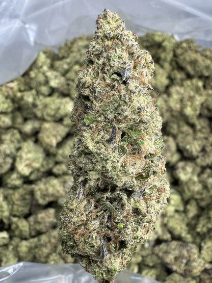 THCA Flower: Hash Burger | Indoor Top Cut