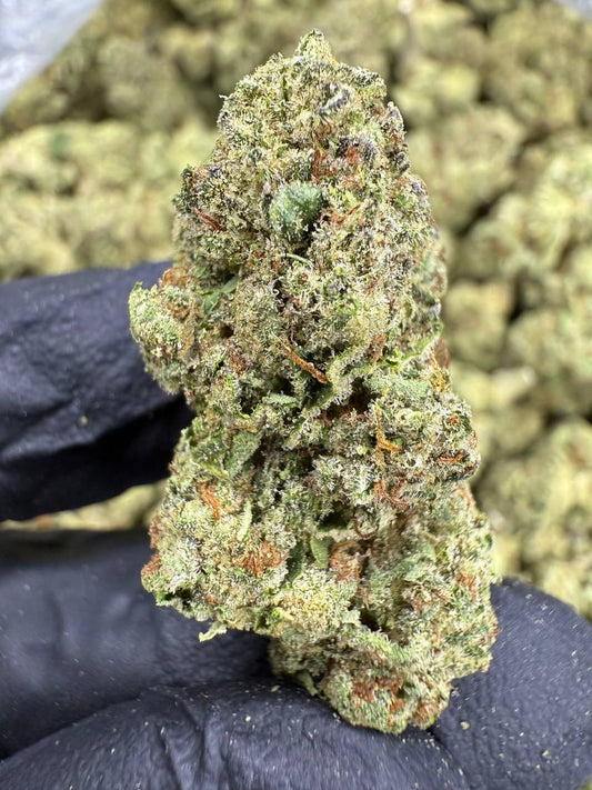 THCA Flower: Headband | Sungrown Top Cut