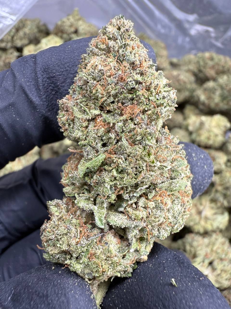 THCA Flower: Ice Cream Cake | Sungrown Top Cut