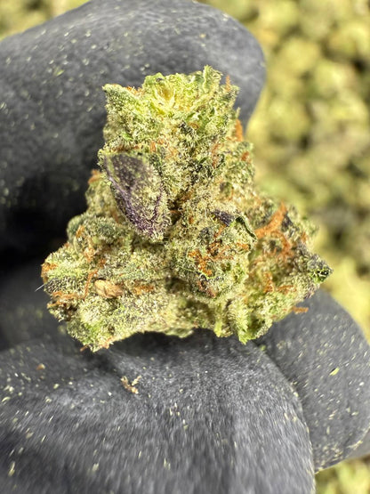 THCA Flower: Insane Pound Cake | Greenhouse Gold Nuggets