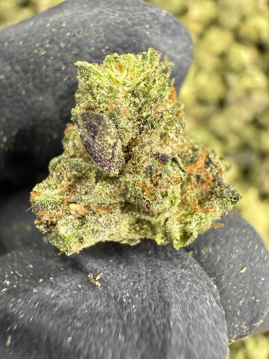 THCA Flower: Insane Pound Cake | Greenhouse Gold Nuggets