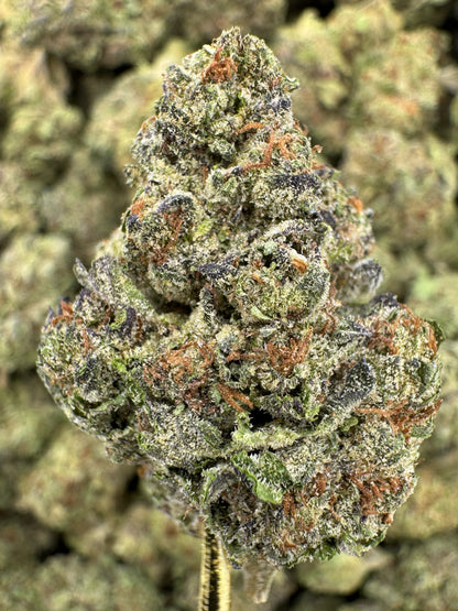 THCA Flower: Insane Pound Cake | Greenhouse Top Cut