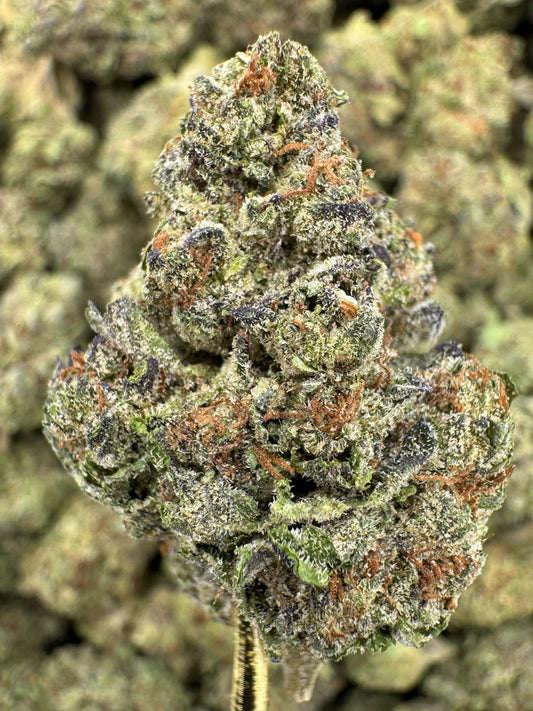 THCA Flower: Insane Pound Cake | Greenhouse Top Cut