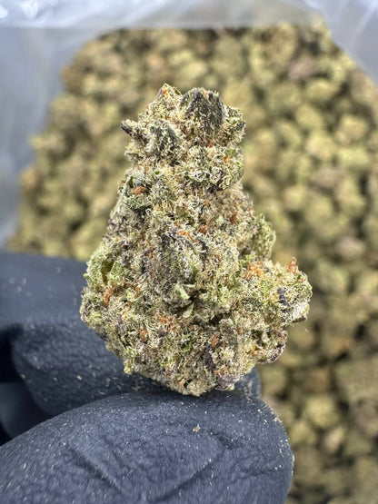 THCA Flower: Italian Ice | Greenhouse Gold Nuggets