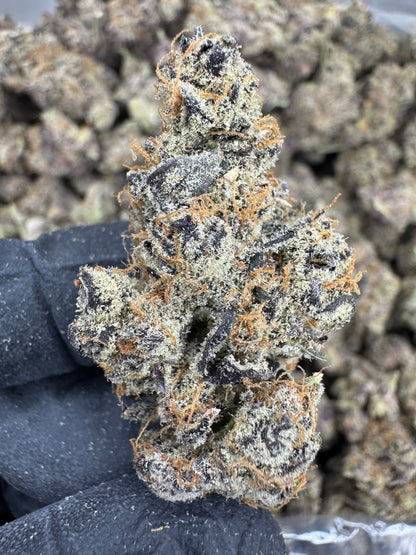THCA Flower: Jack Herer | Indoor Top Cut Exotic