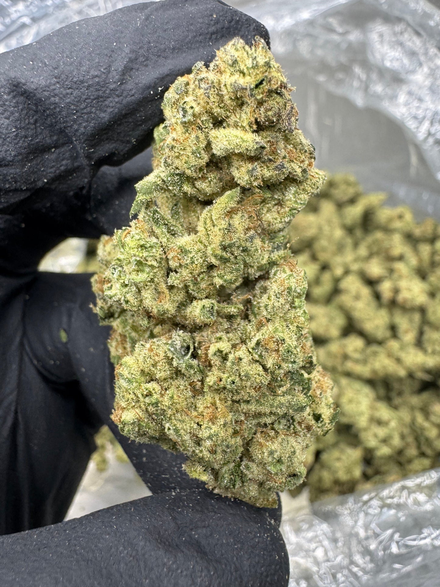 THCA Flower: Jungle Pie | Indoor Top Cut
