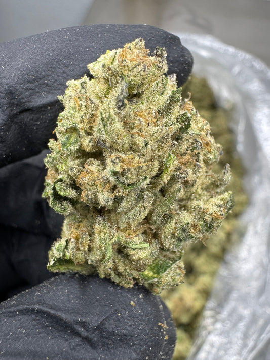 THCA Flower: Jungle Pie | Greenhouse Top Cut