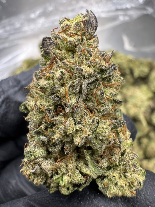 THCA Flower: Kush Mintz | Sungrown Top Cut