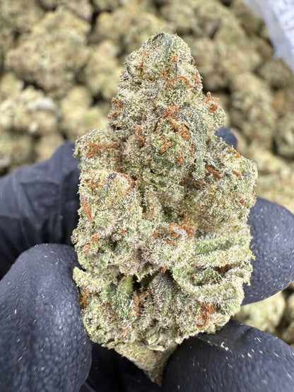 THCA Flower: Lambs Breath | Sungrown Top Cut