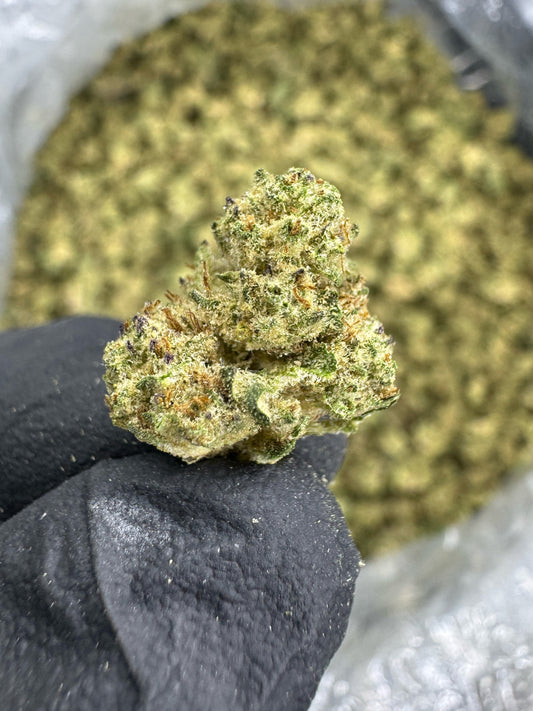 THCA Flower: Lava Cake | Greenhouse Gold Nuggets