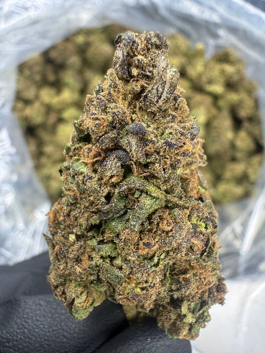 THCA Flower: Legend Orange Apricot | Sungrown Top Cut