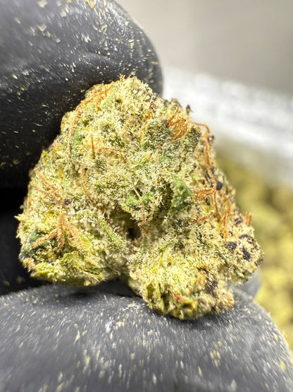 THCA Flower: Lemon Cherry Gelato | Indoor Gold Nuggets Exotic