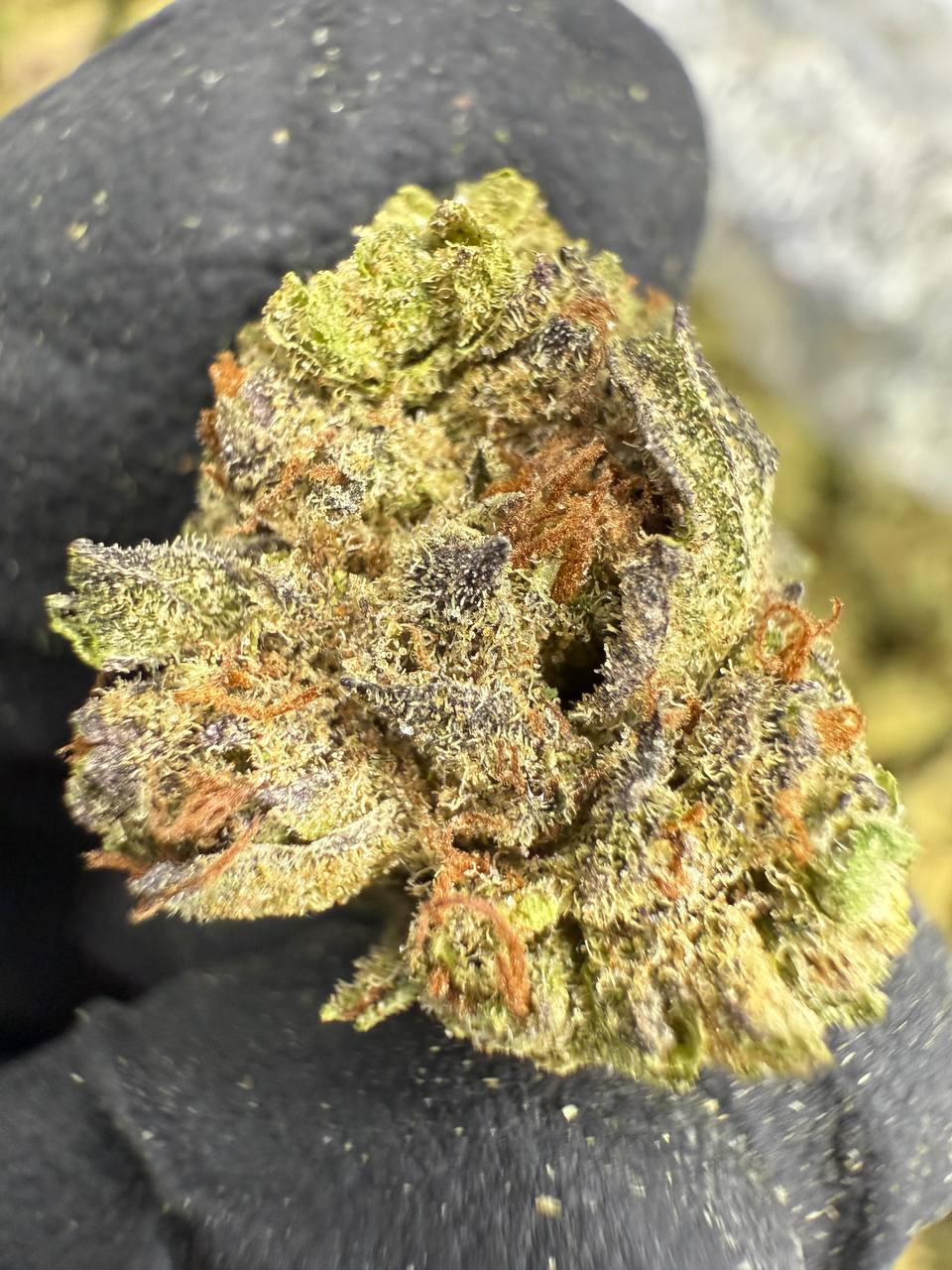 THCA Flower: Mac 1 | Greenhouse Gold Nuggets