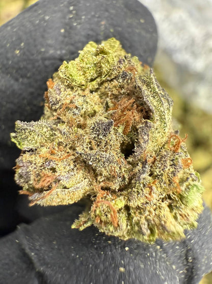 THCA Flower: Mac 1 | Greenhouse Gold Nuggets