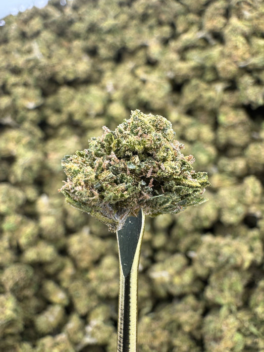 THCA Flower: Mochi | Sungrown Gold Nuggets