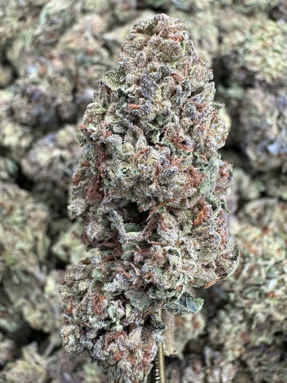 THCA Flower: Motor Breath | Sungrown Top Cut