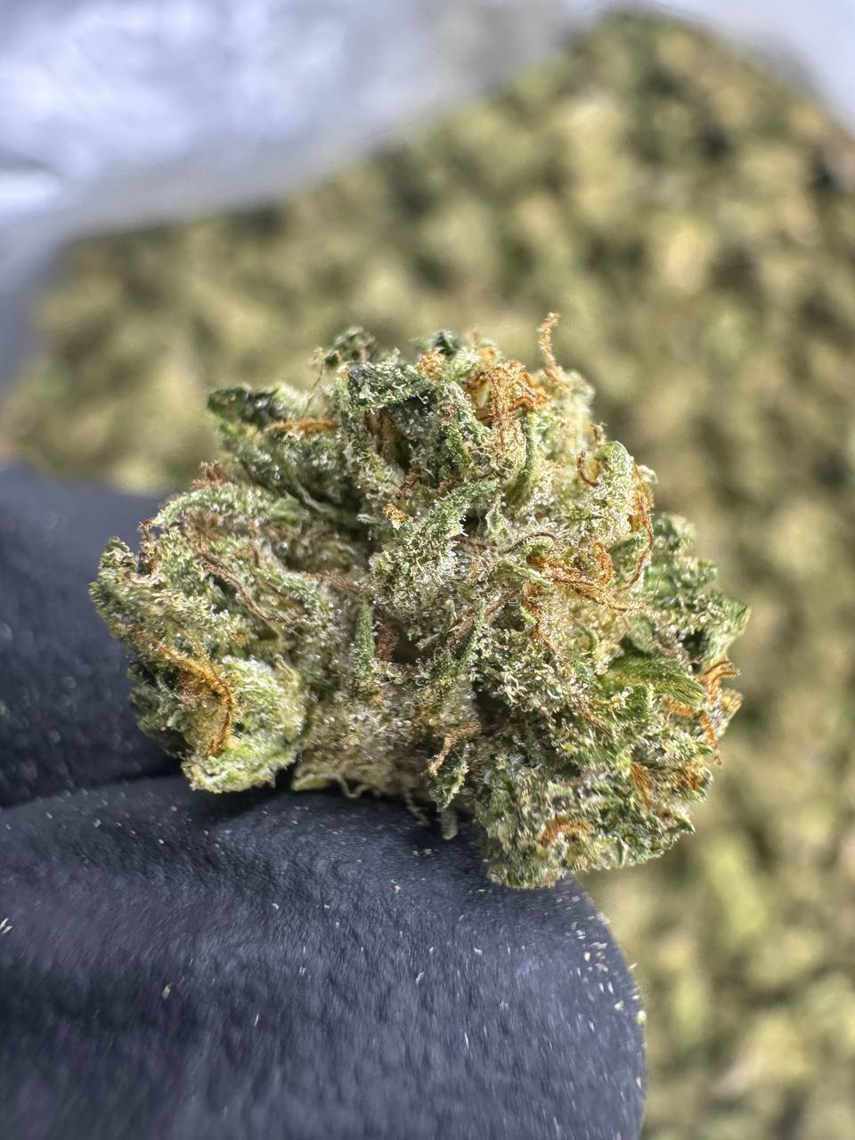 THCA Flower: Motor Breath | Sungrown Gold Nuggets