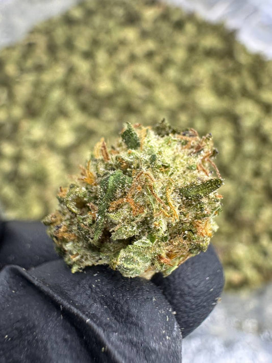 THCA Flower: Permanent Marker | Greenhouse Gold Nuggets