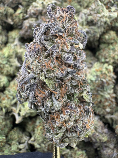 THCA Flower: Pineapple Express | Sungrown Top Cut
