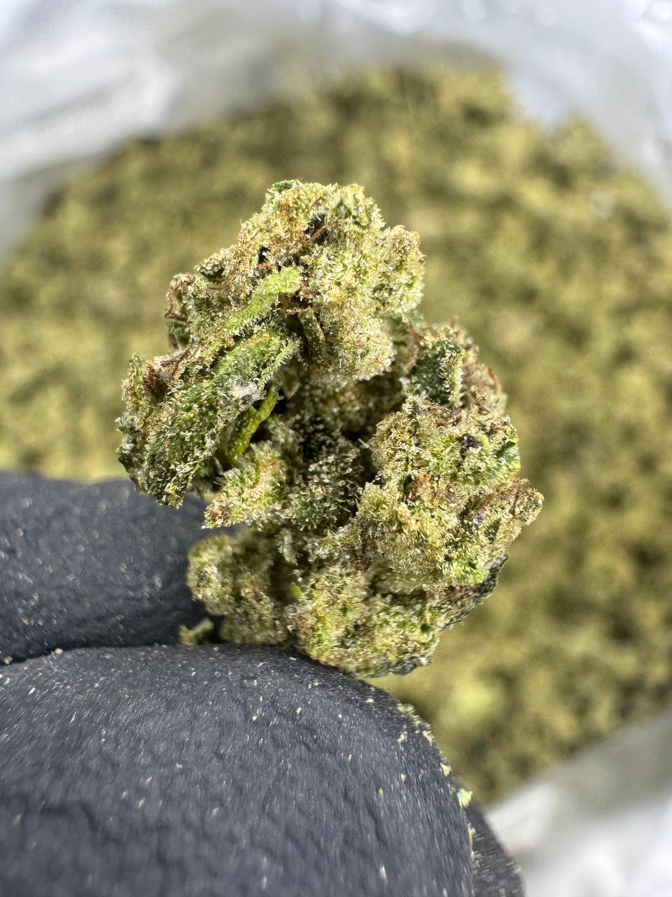 THCA Flower: Pineapple Express | Greenhouse Gold Nuggets