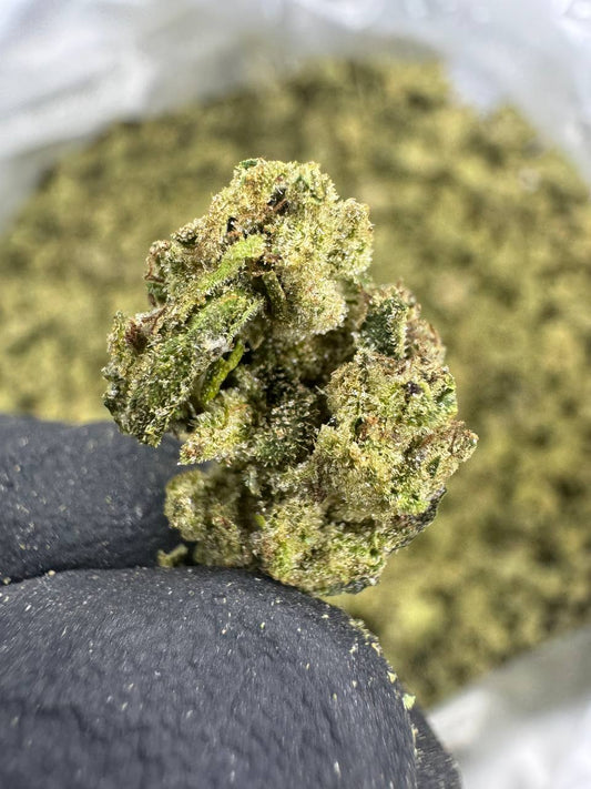 THCA Flower: Pineapple Express | Greenhouse Gold Nuggets