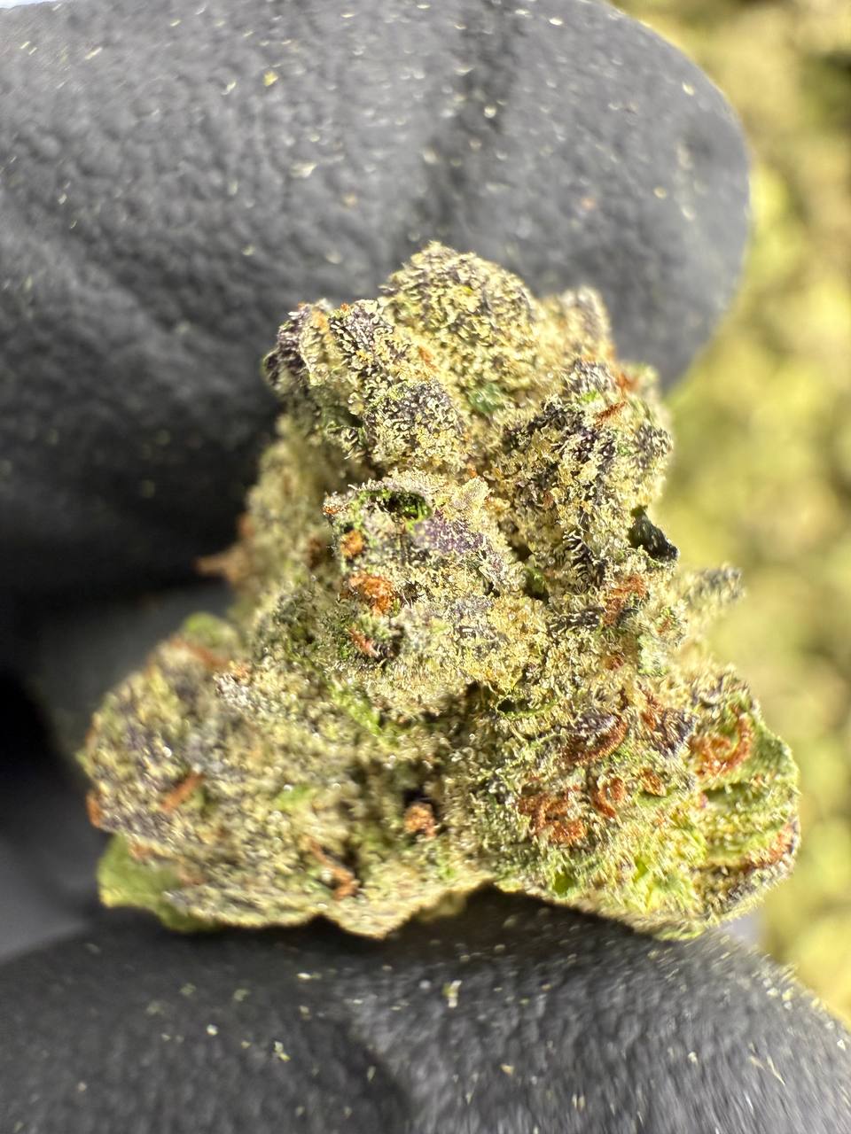 THCA Flower: Pink Runtz | Greenhouse Gold Nuggets