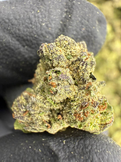 THCA Flower: Pink Runtz | Greenhouse Gold Nuggets