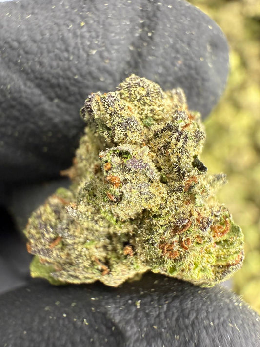 THCA Flower: Pink Runtz | Greenhouse Gold Nuggets