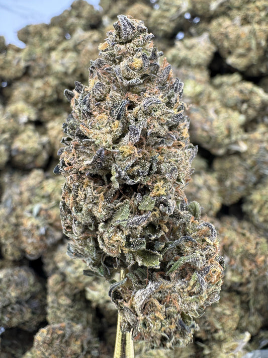 THCA Flower: Platinum Cookies | Sungrown Top Cut