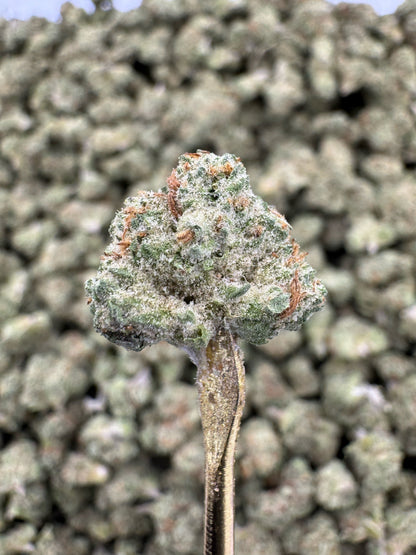 THCA Flower: Purple Punch | Greenhouse Gold Nuggets
