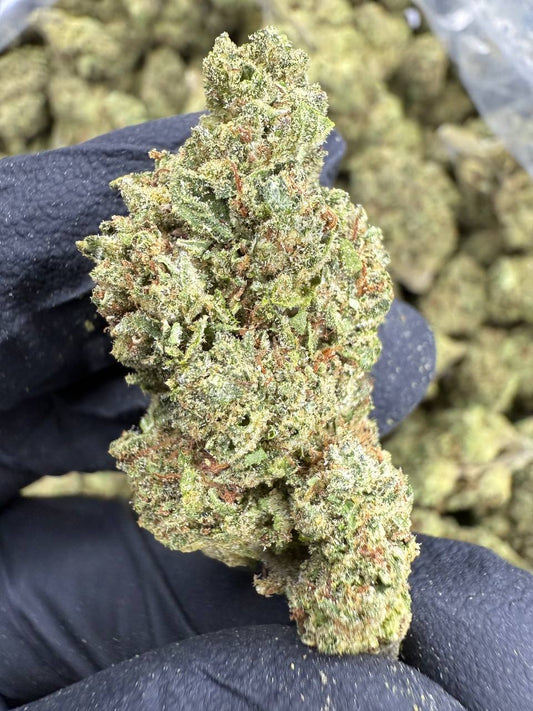 THCA Flower: Rainbow Runtz | Sungrown Top Cut