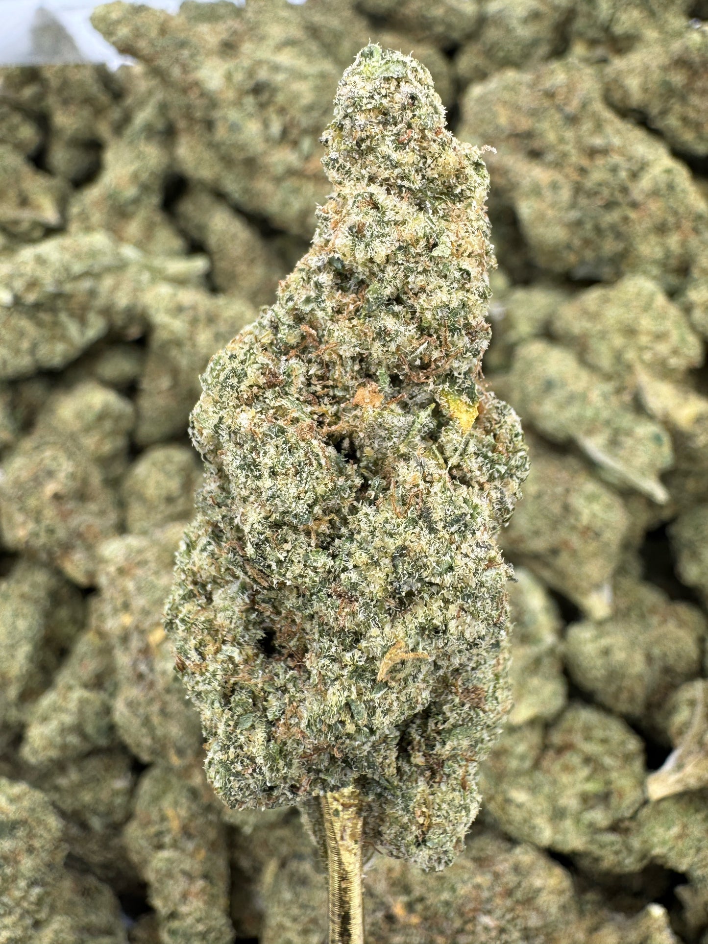 THCA Flower: Rock Candy | Indoor Top Cut Exotic